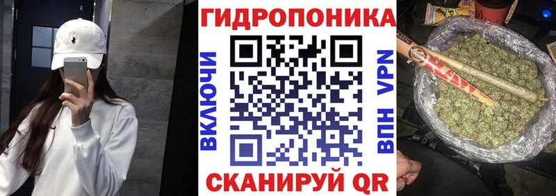 Бошки Шишки MAZAR  KRAKEN онион  Сенгилей 
